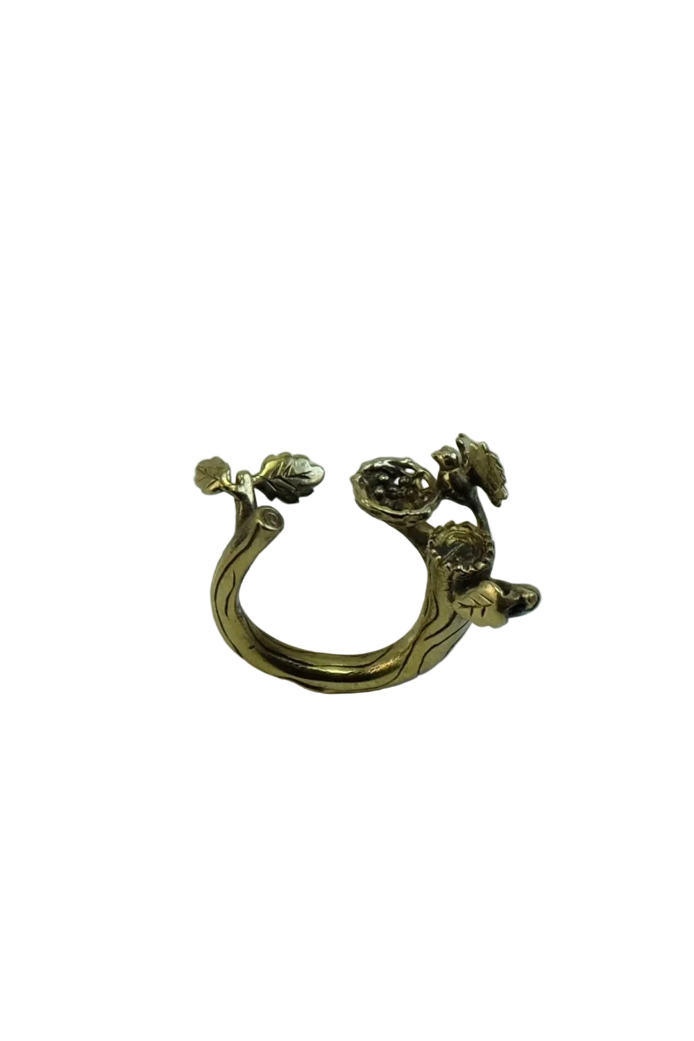 Anillo nido pájaro
