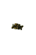 Anillo vertebra