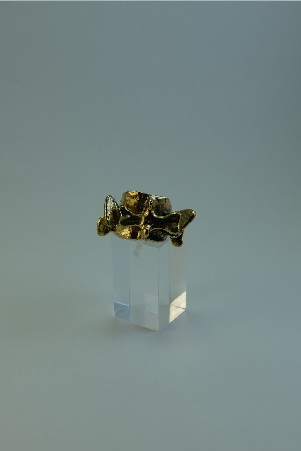 Anillo vertebra