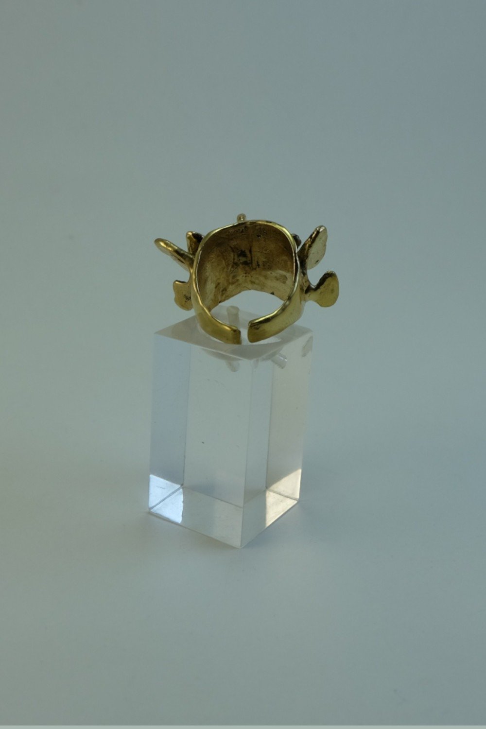 Anillo vertebra