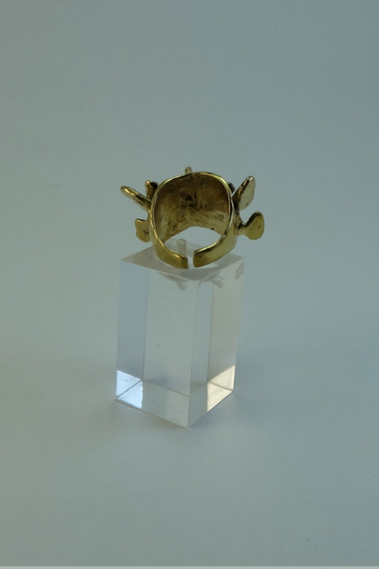 Anillo vertebra